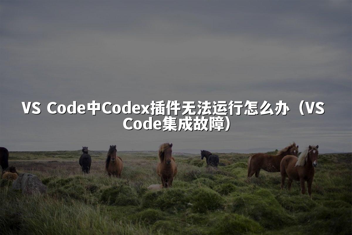 VS Code中Codex插件无法运行怎么办（VS Code集成故障）