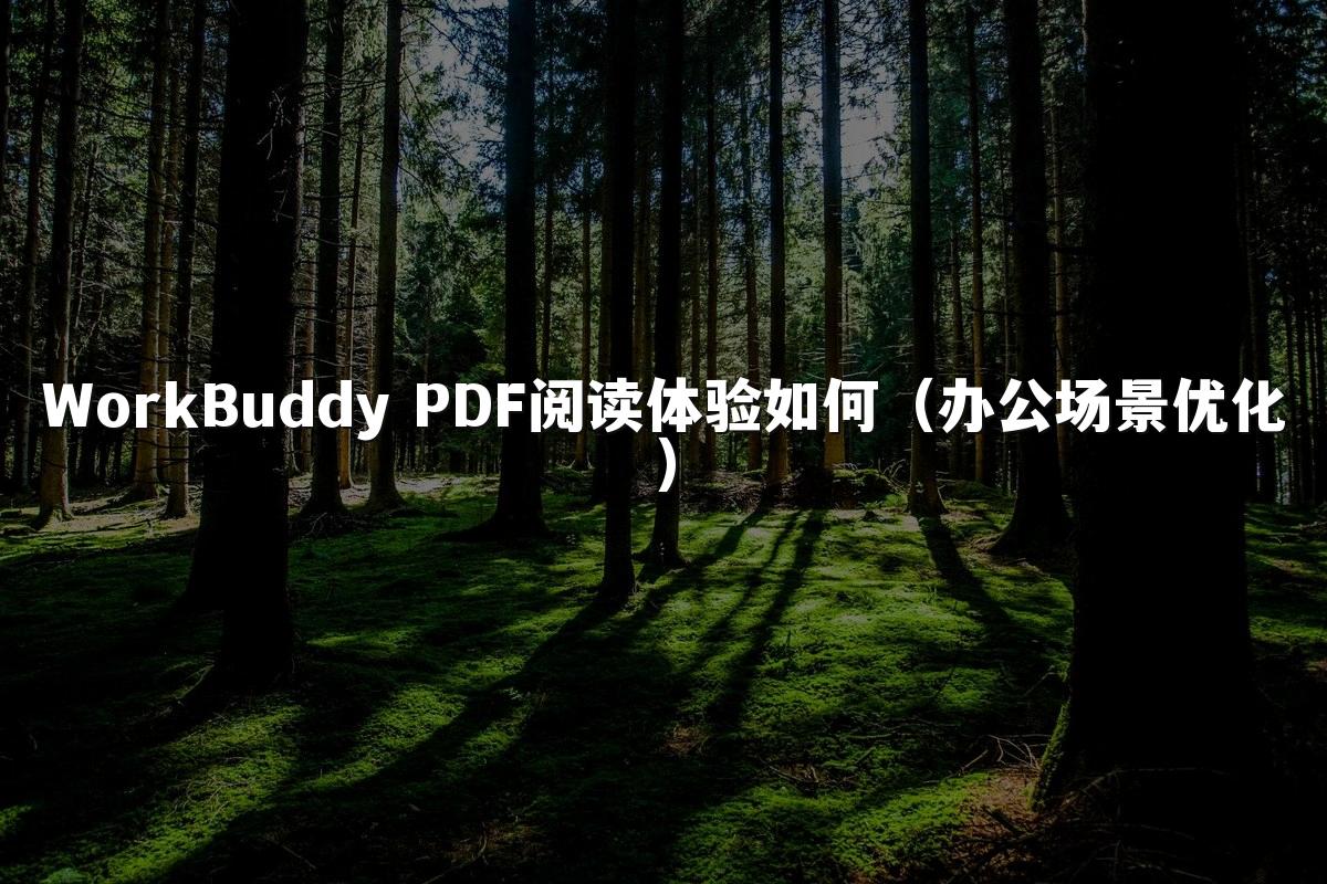 WorkBuddy PDF阅读体验如何(办公场景优化)