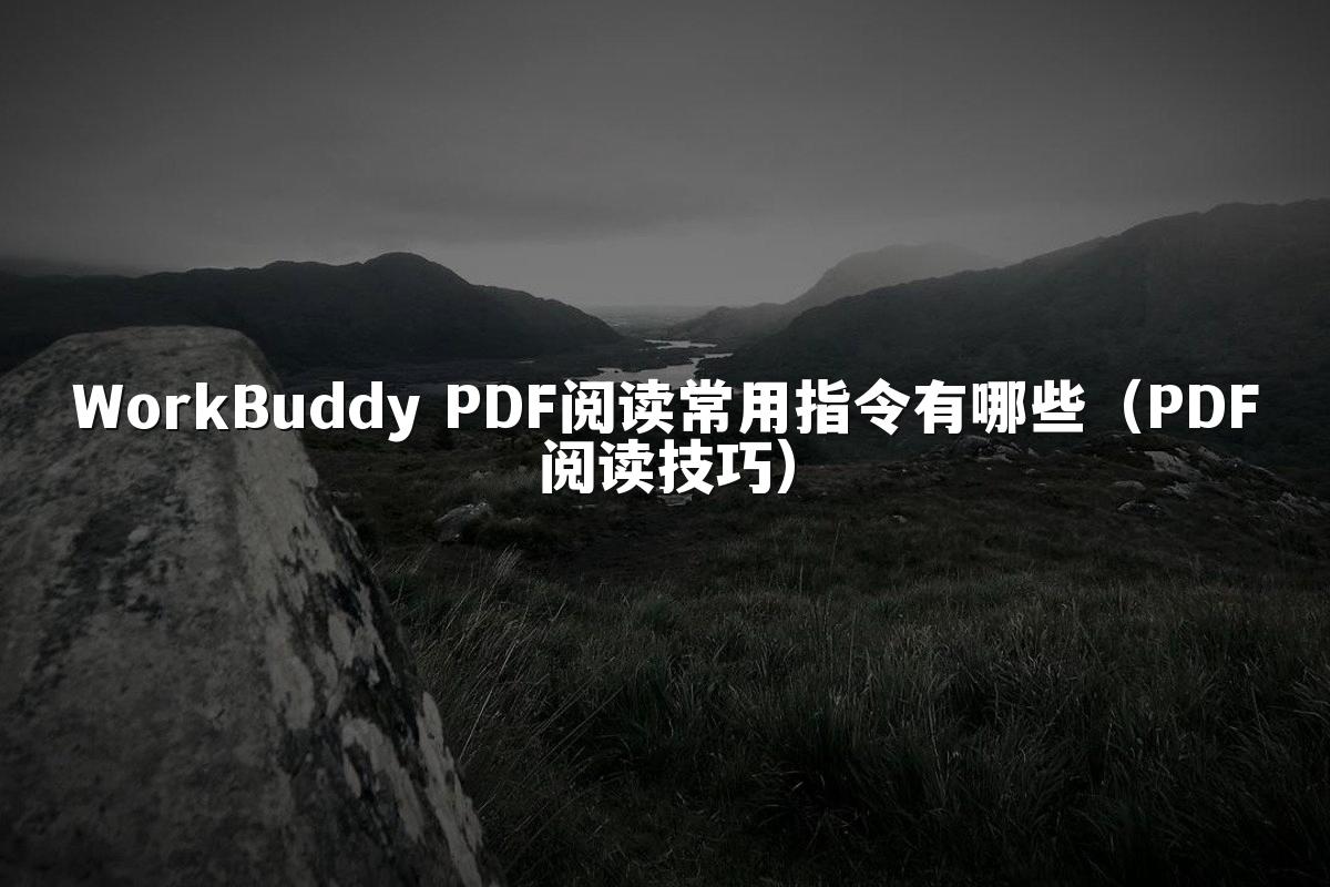 WorkBuddy PDF阅读常用指令有哪些（PDF阅读技巧）
