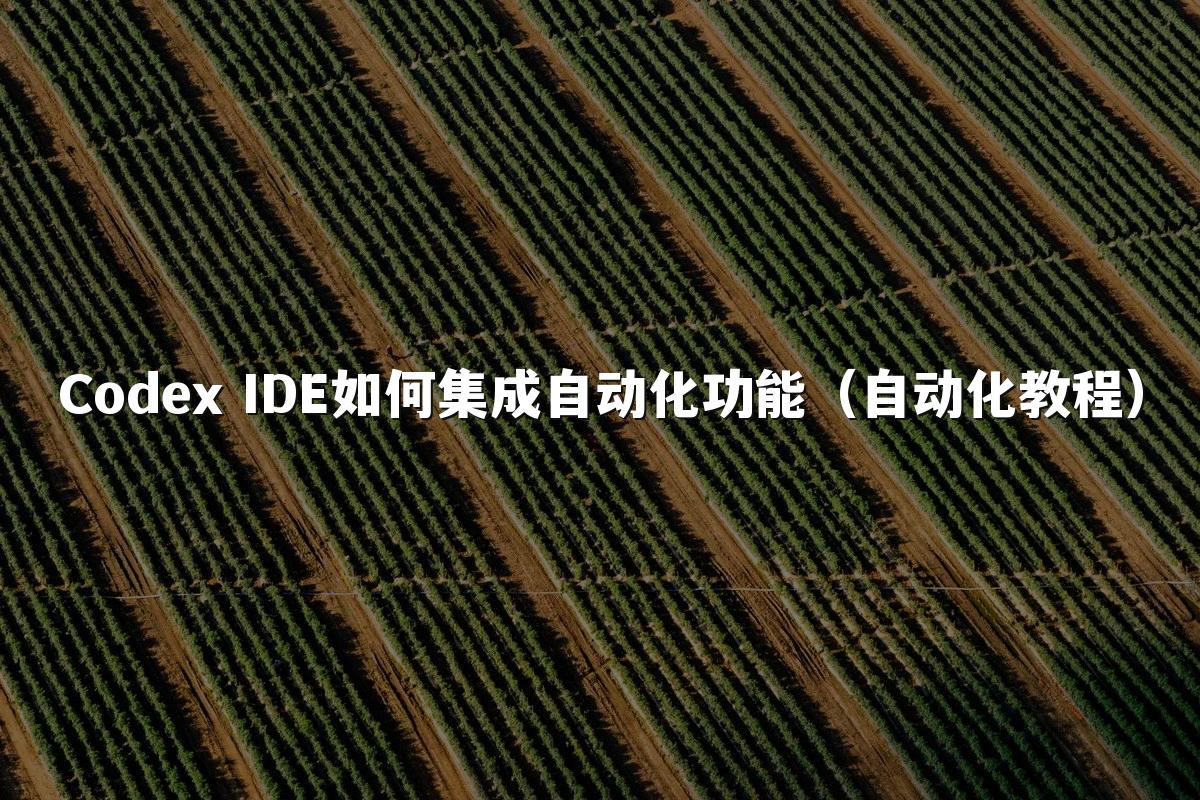 Codex IDE如何集成自动化功能（自动化教程）