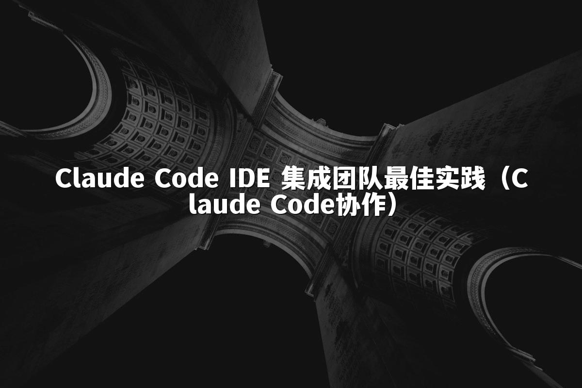 Claude Code IDE 集成团队最佳实践（Claude Code协作）