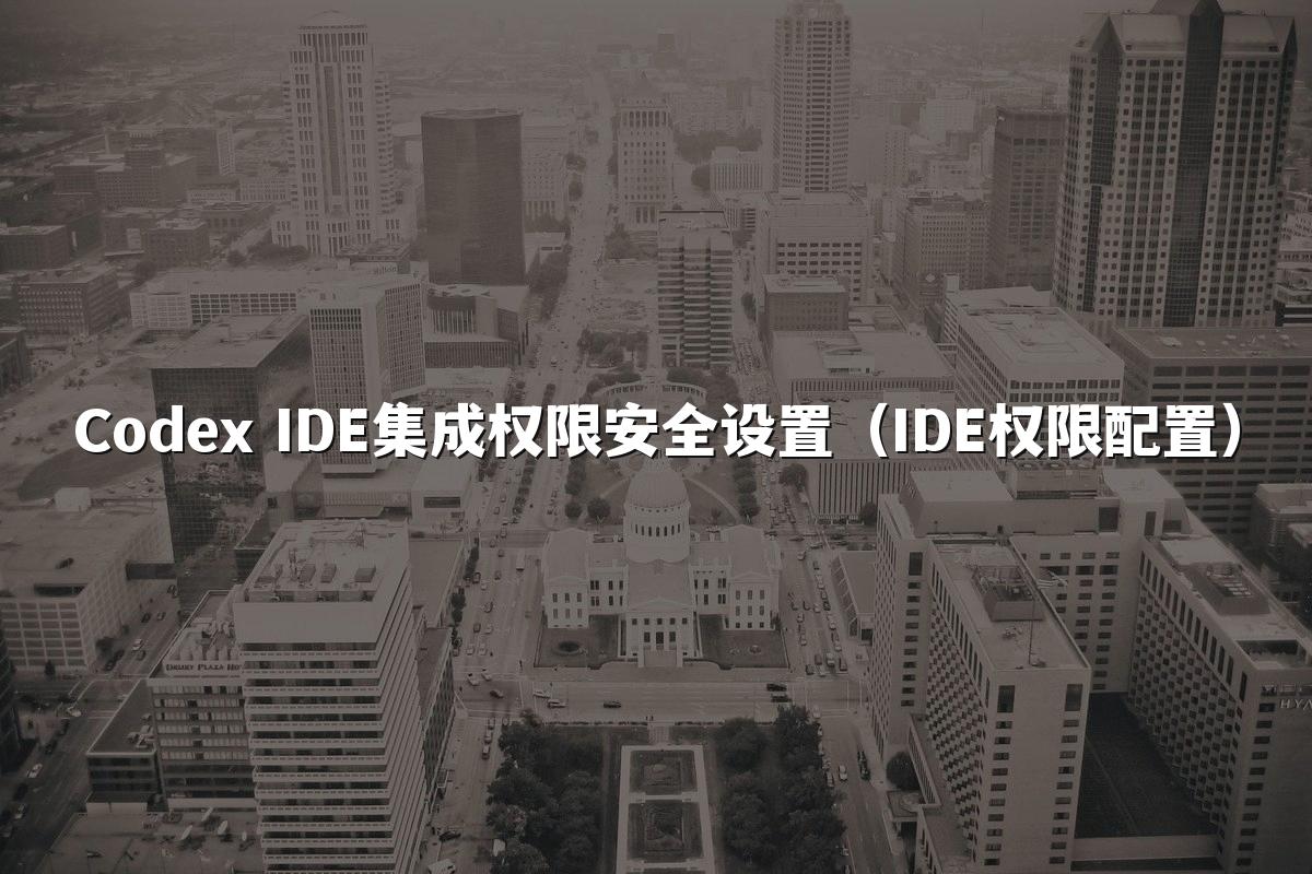 Codex IDE集成权限安全设置（IDE权限配置）