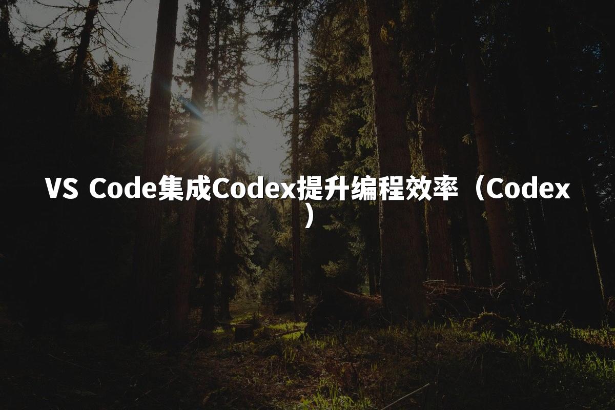 VS Code集成Codex提升编程效率（Codex）