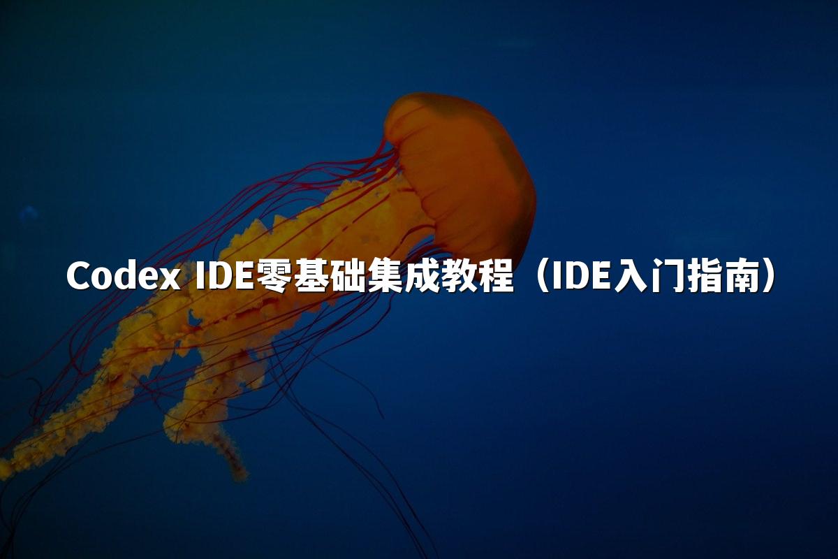 Codex IDE零基础集成教程(IDE入门指南)
