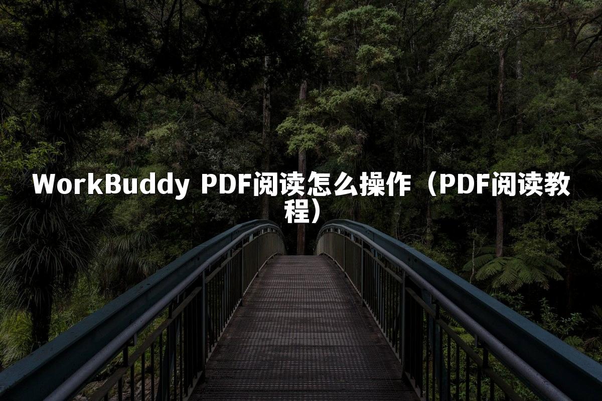 WorkBuddy PDF阅读怎么操作(PDF阅读教程)