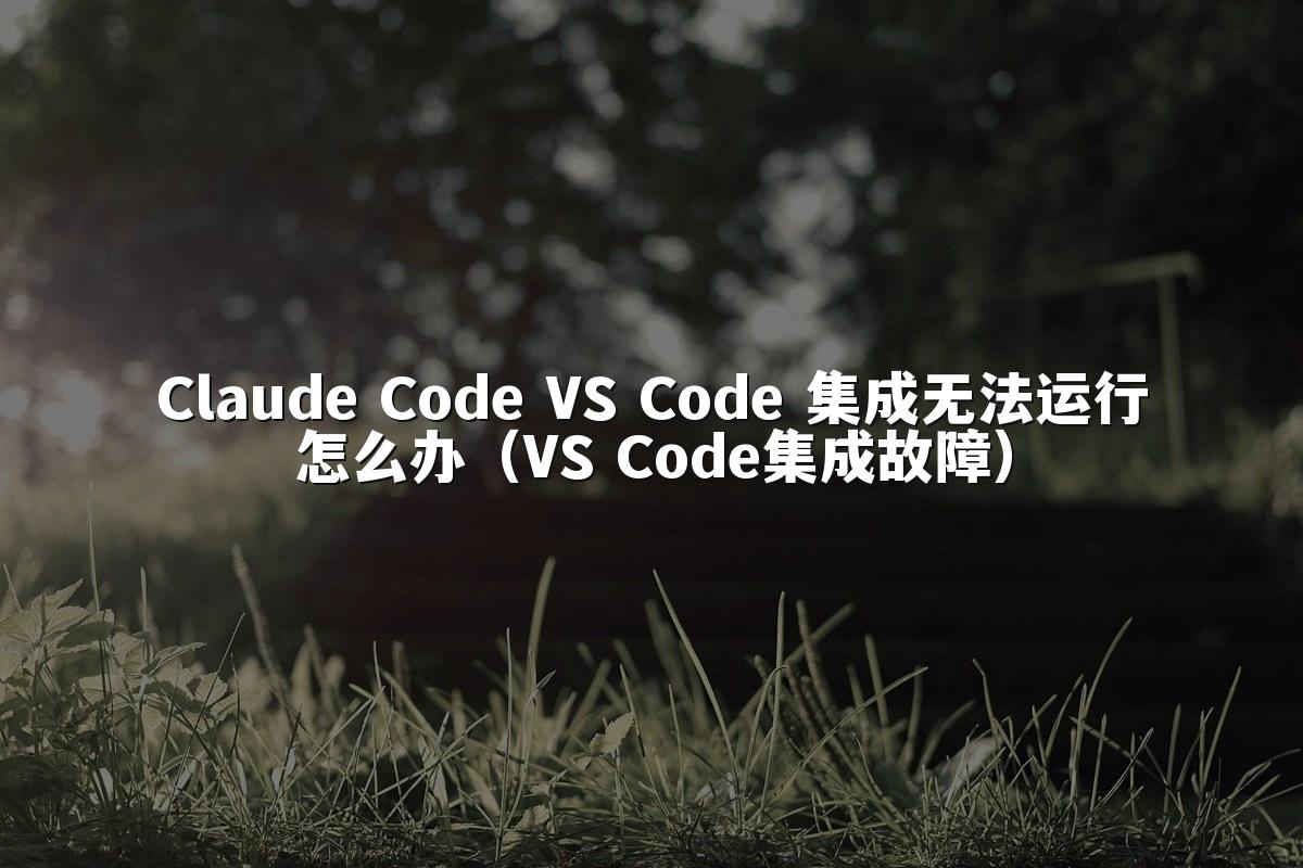 Claude Code VS Code 集成无法运行怎么办（VS Code集成故障）