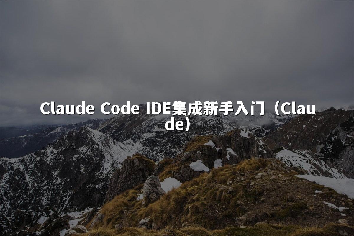 Claude Code IDE集成新手入门(Claude)
