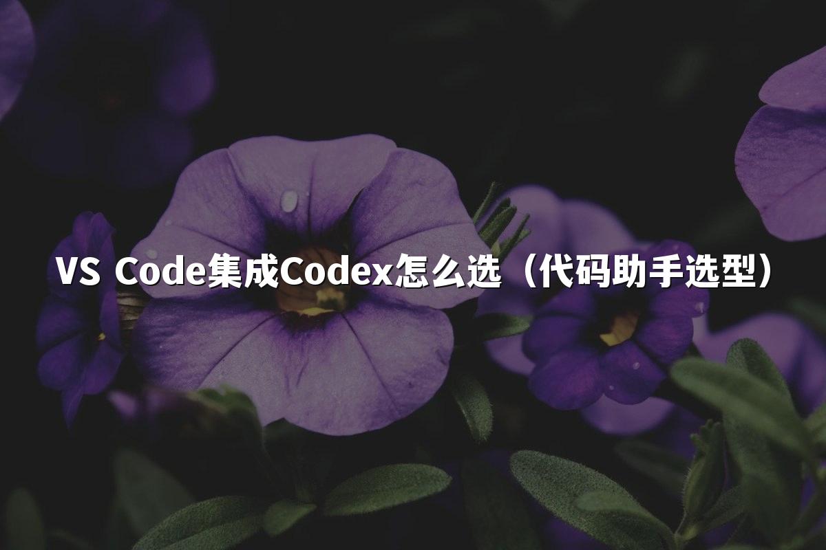 VS Code集成Codex怎么选（代码助手选型）