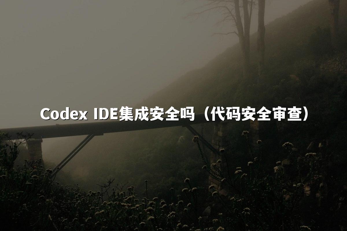 Codex IDE集成安全吗(代码安全审查)