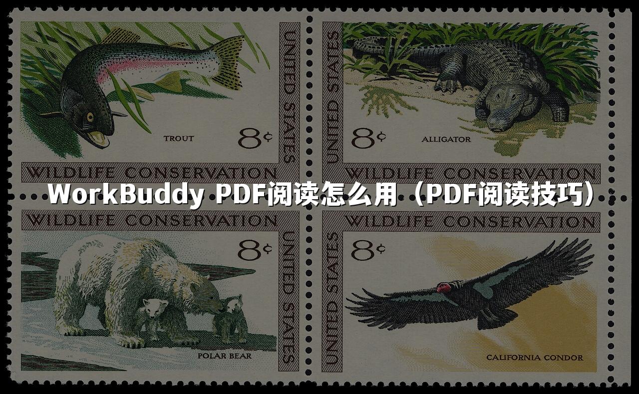 WorkBuddy PDF阅读怎么用(PDF阅读技巧)