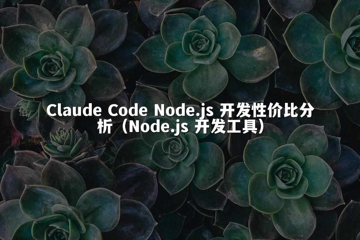 Claude Code Node.js 开发性价比分析（Node.js 开发工具）
