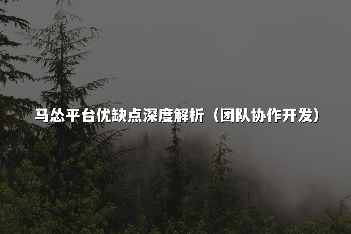 马怂平台优缺点深度解析（团队协作开发）