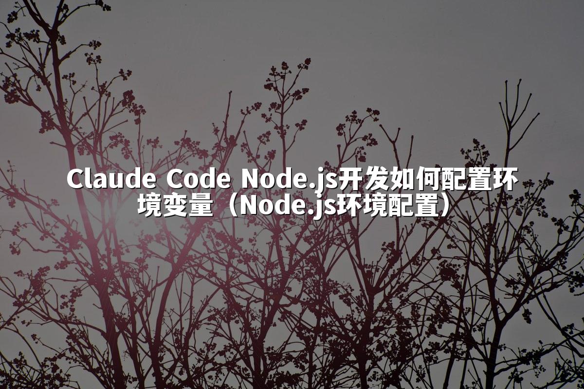 Claude Code Node.js开发如何配置环境变量(Node.js环境配置)