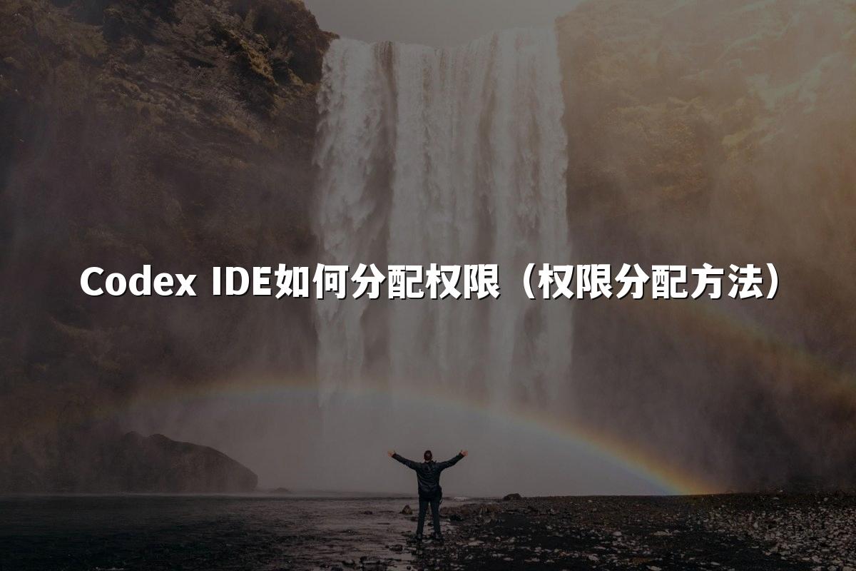 Codex IDE如何分配权限（权限分配方法）