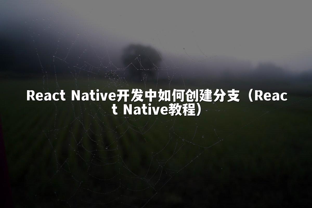 React Native开发中如何创建分支（React Native教程）