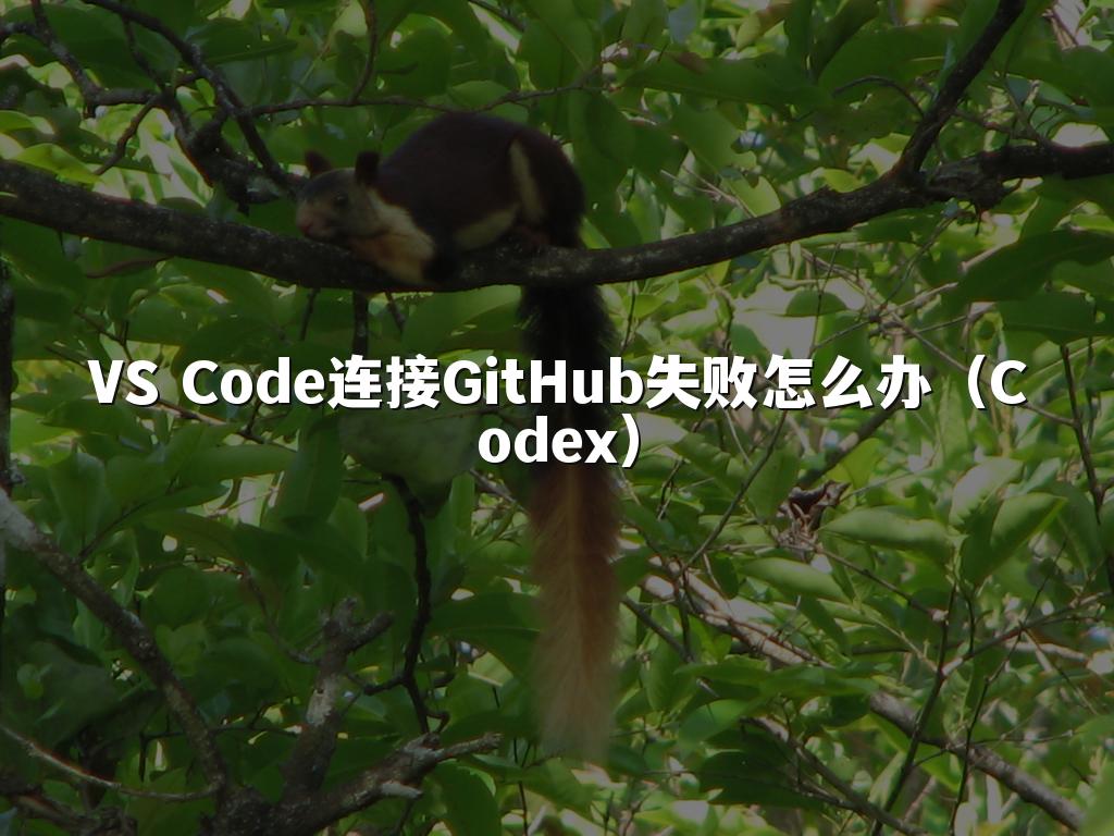 VS Code连接GitHub失败怎么办（Codex）
