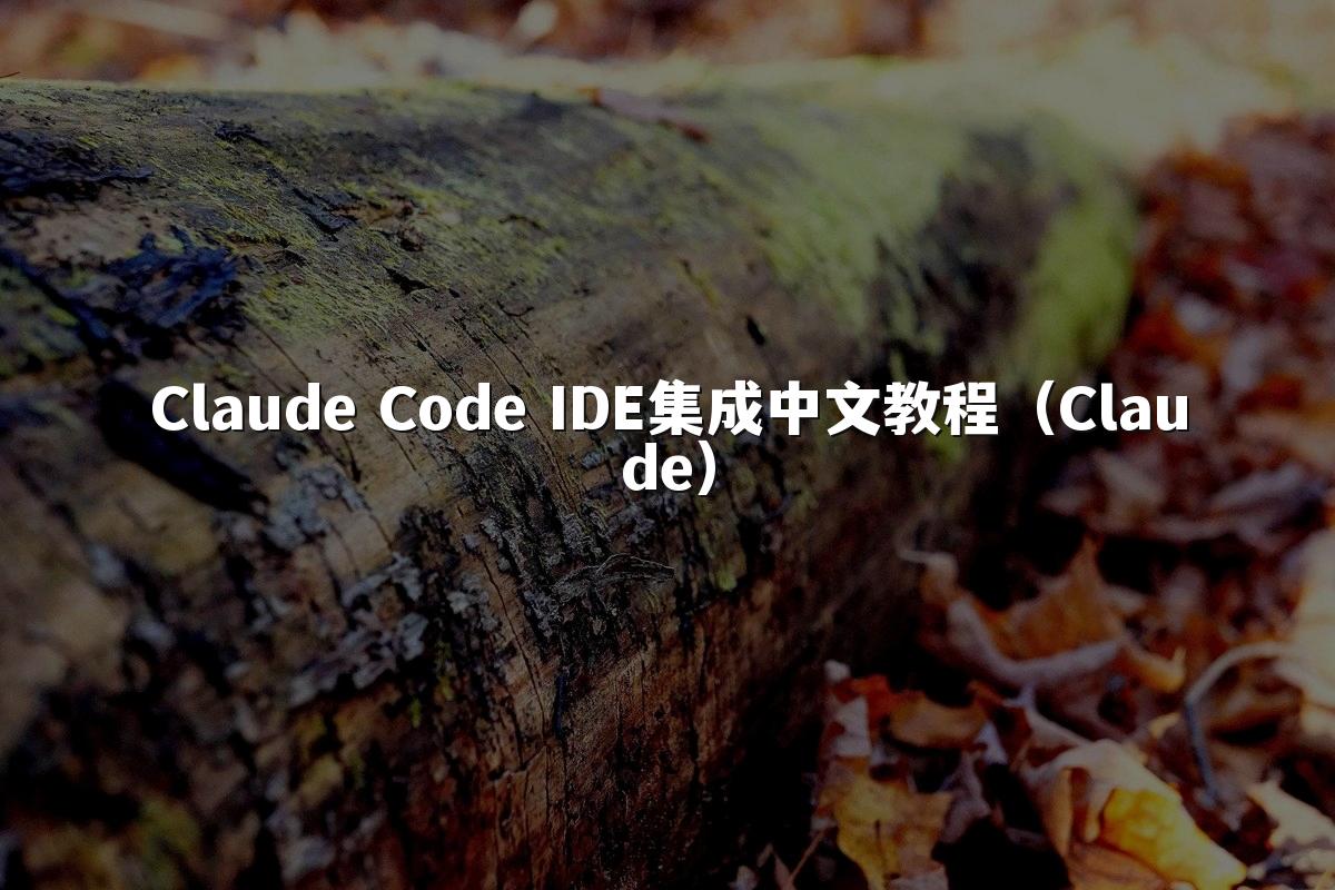 Claude Code IDE集成中文教程（Claude）