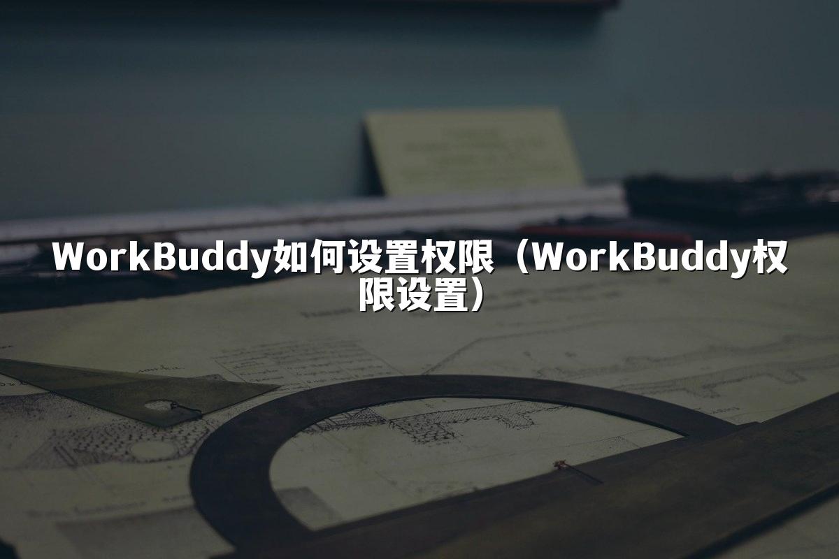 WorkBuddy如何设置权限(WorkBuddy权限设置)