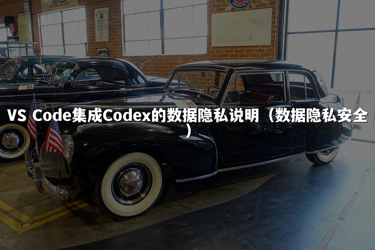 VS Code集成Codex的数据隐私说明(数据隐私安全)