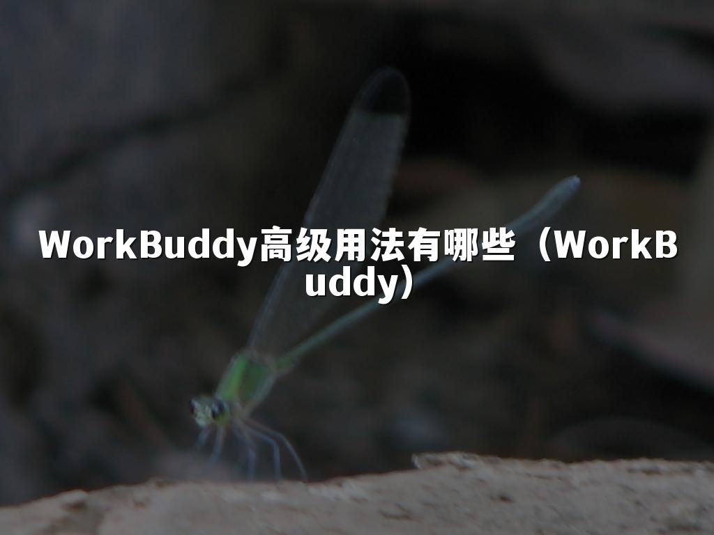 WorkBuddy高级用法有哪些(WorkBuddy)