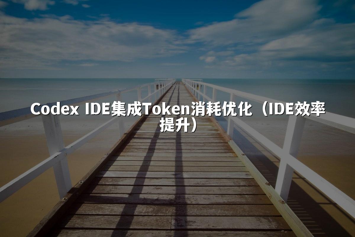 Codex IDE集成Token消耗优化（IDE效率提升）