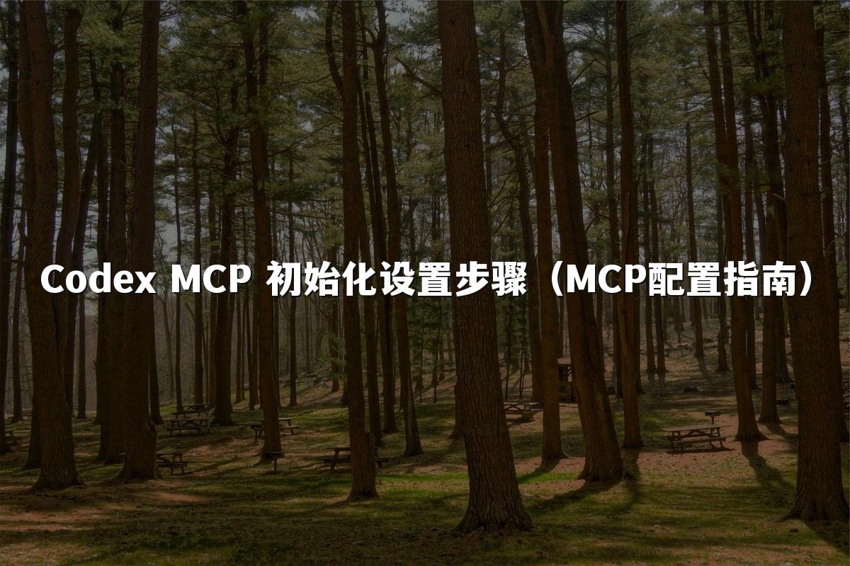 Codex MCP 初始化设置步骤（MCP配置指南）