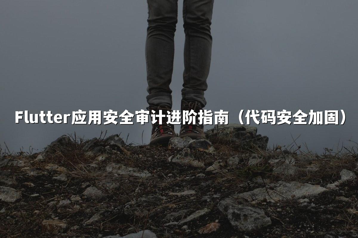 Flutter应用安全审计进阶指南（代码安全加固）