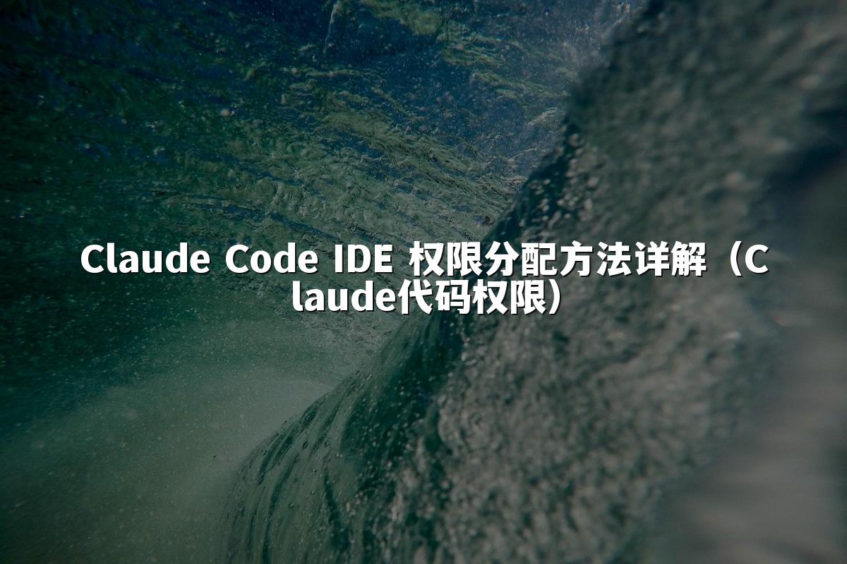 Claude Code IDE 权限分配方法详解（Claude代码权限）