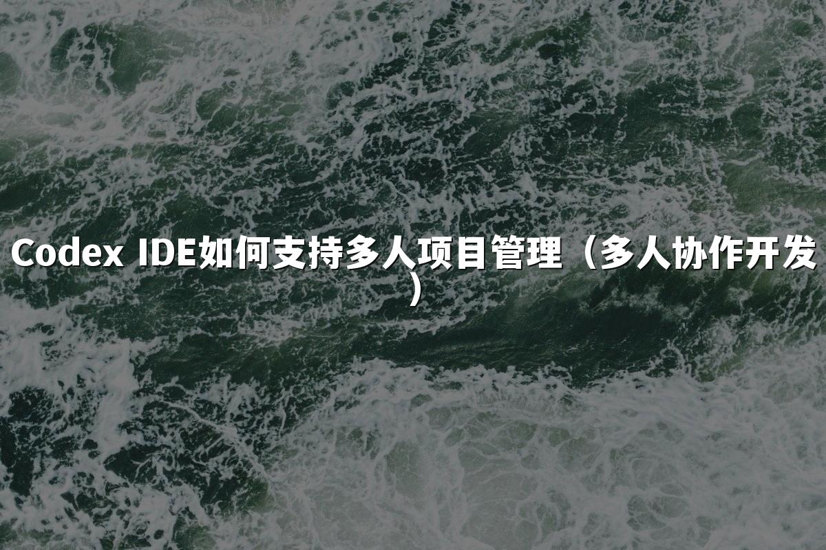 Codex IDE如何支持多人项目管理(多人协作开发)