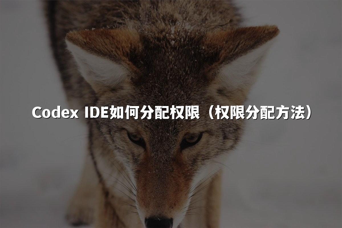 Codex IDE如何分配权限(权限分配方法)