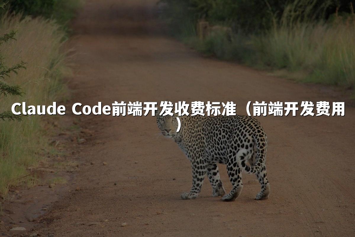 Claude Code前端开发收费标准（前端开发费用）