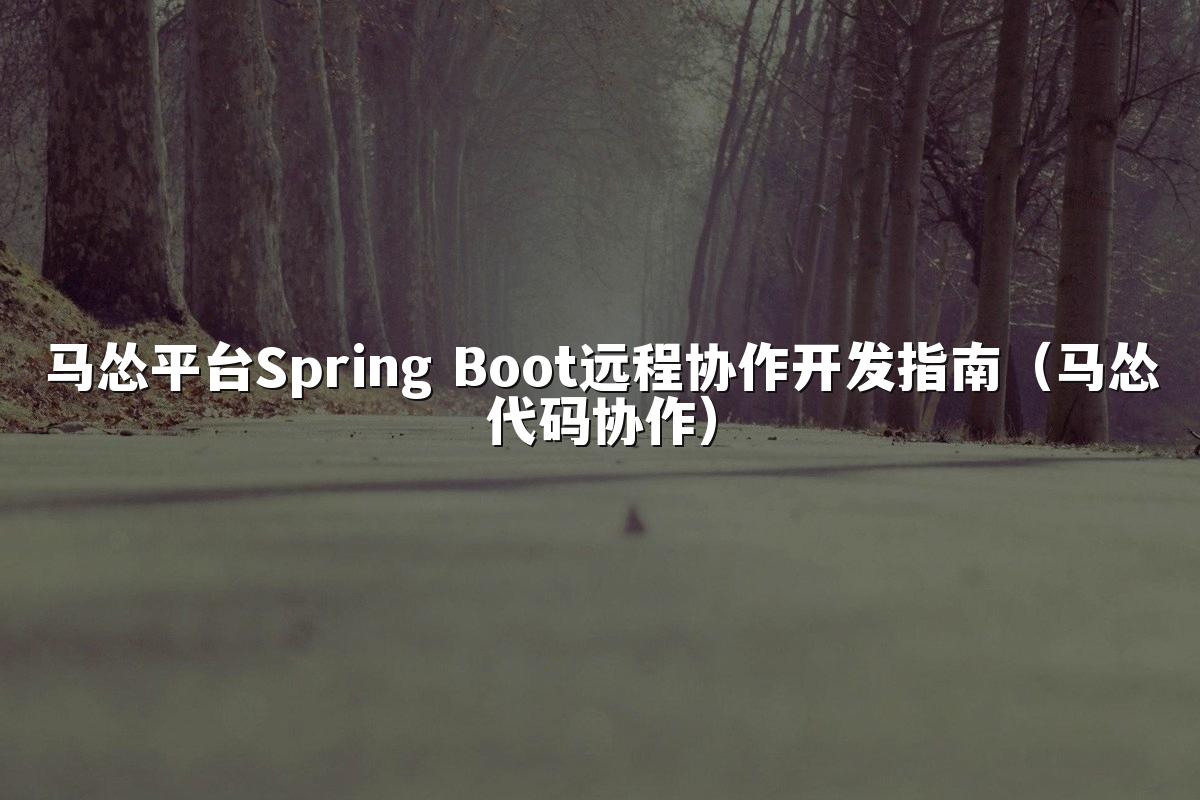 马怂平台Spring Boot远程协作开发指南(马怂代码协作)