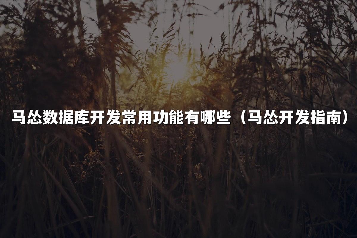 马怂数据库开发常用功能有哪些(马怂开发指南)