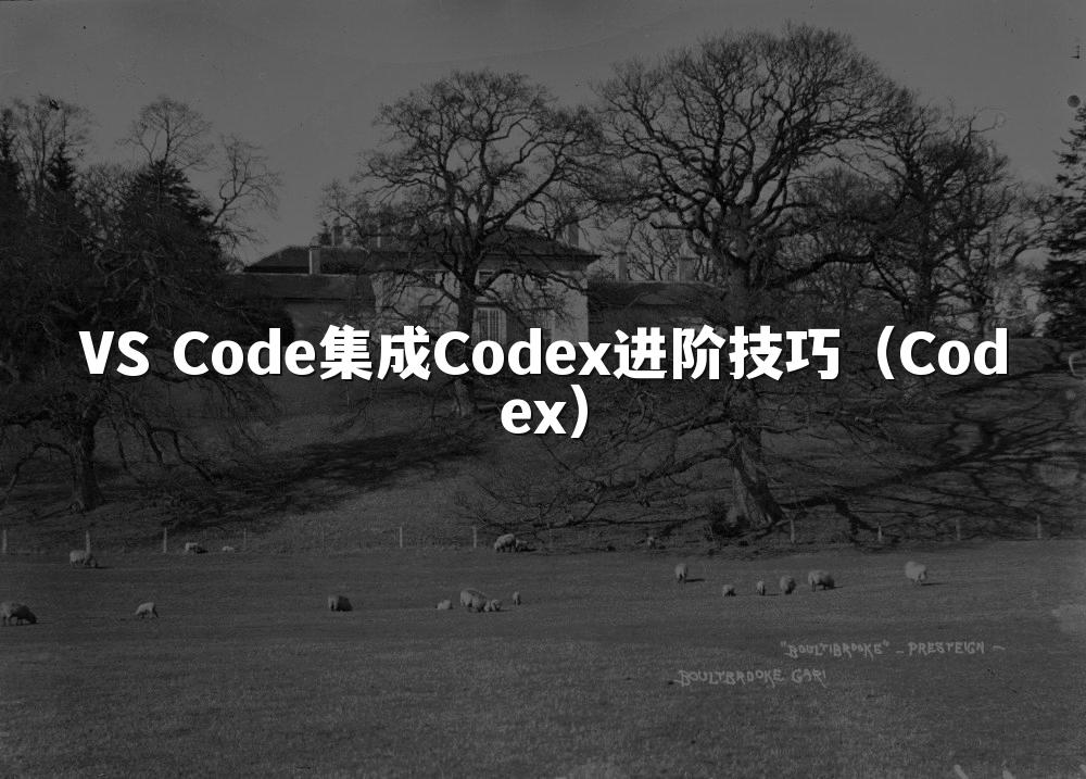 VS Code集成Codex进阶技巧（Codex）