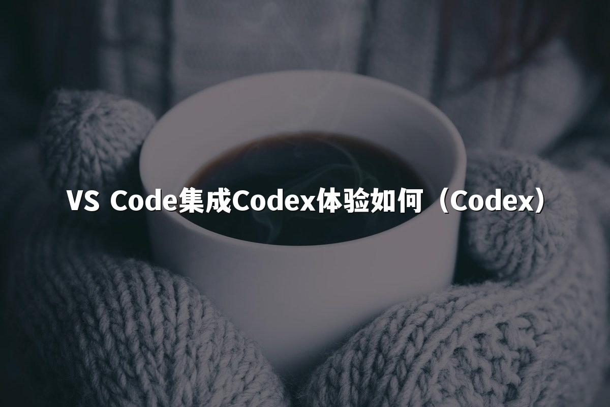 VS Code集成Codex体验如何（Codex）