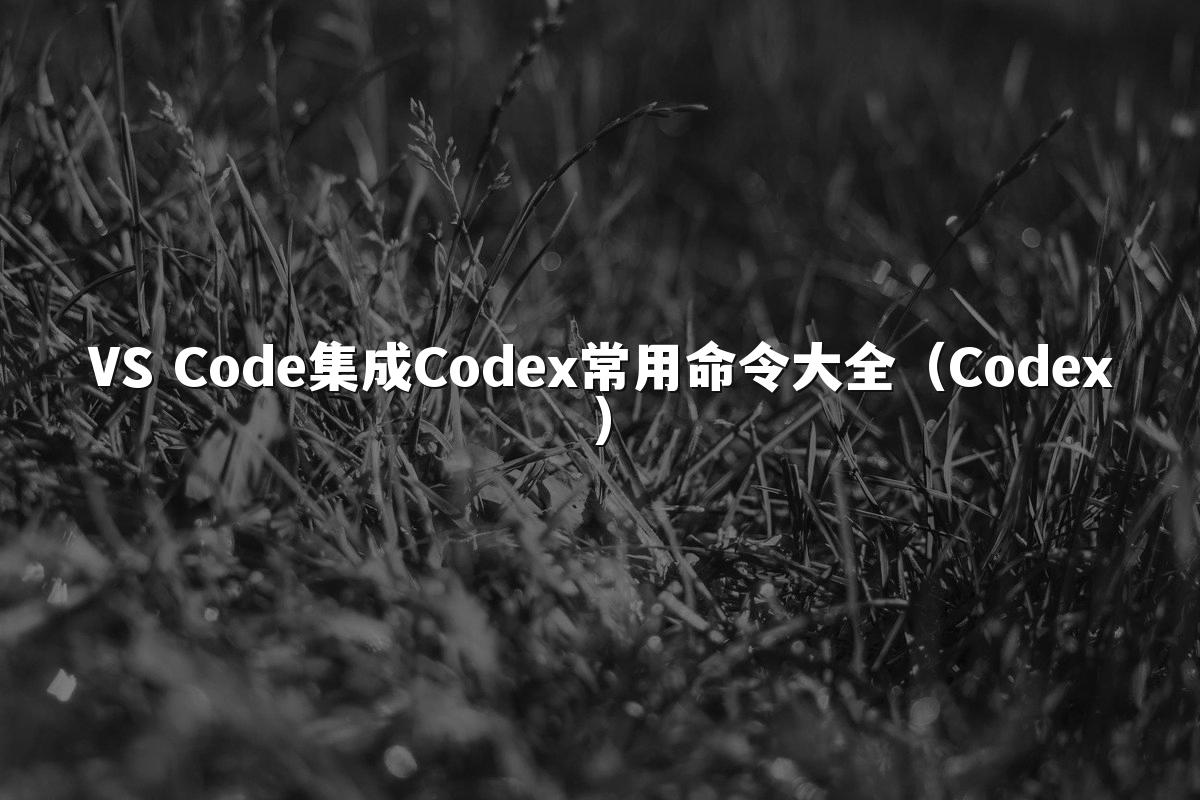 VS Code集成Codex常用命令大全（Codex）