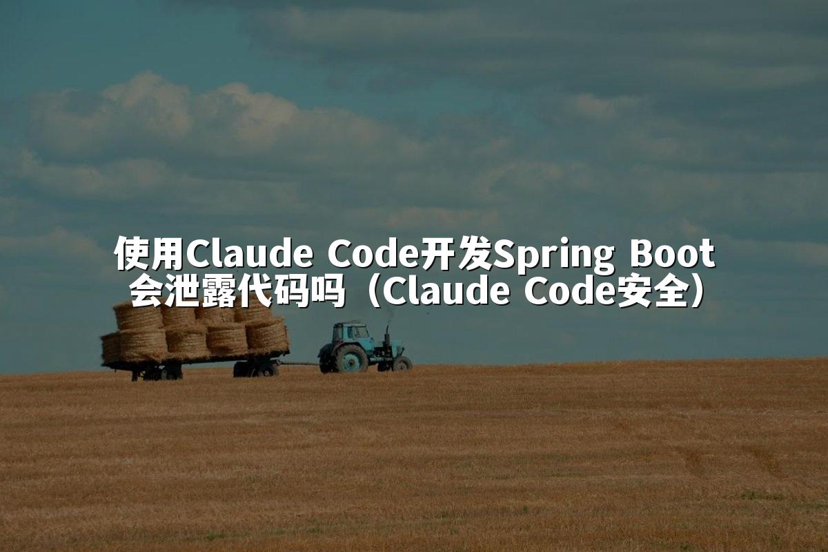 使用Claude Code开发Spring Boot会泄露代码吗(Claude Code安全)