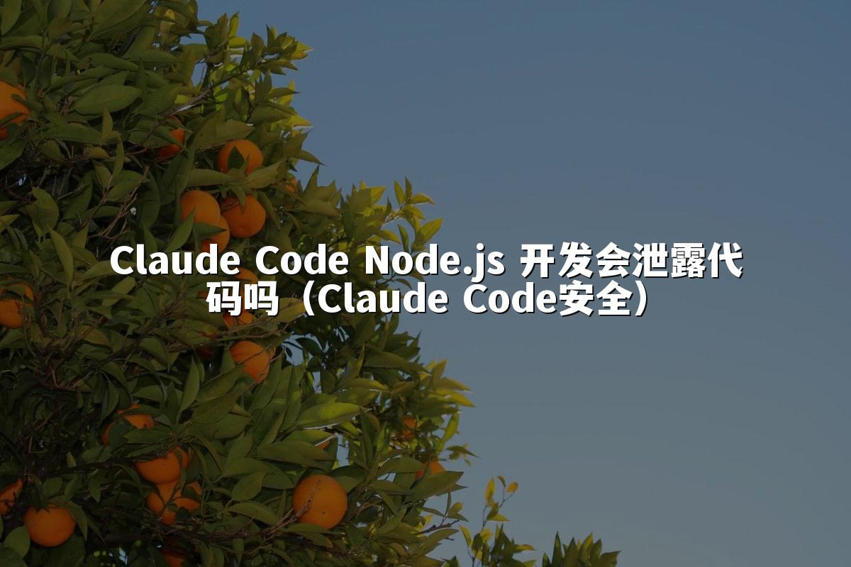 Claude Code Node.js 开发会泄露代码吗（Claude Code安全）