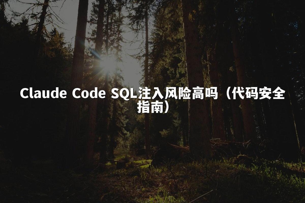 Claude Code SQL注入风险高吗(代码安全指南)
