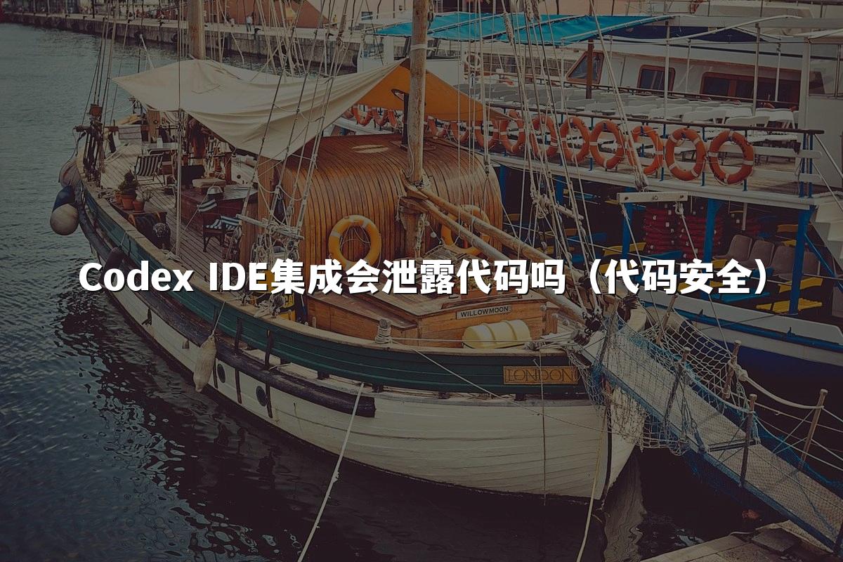Codex IDE集成会泄露代码吗（代码安全）