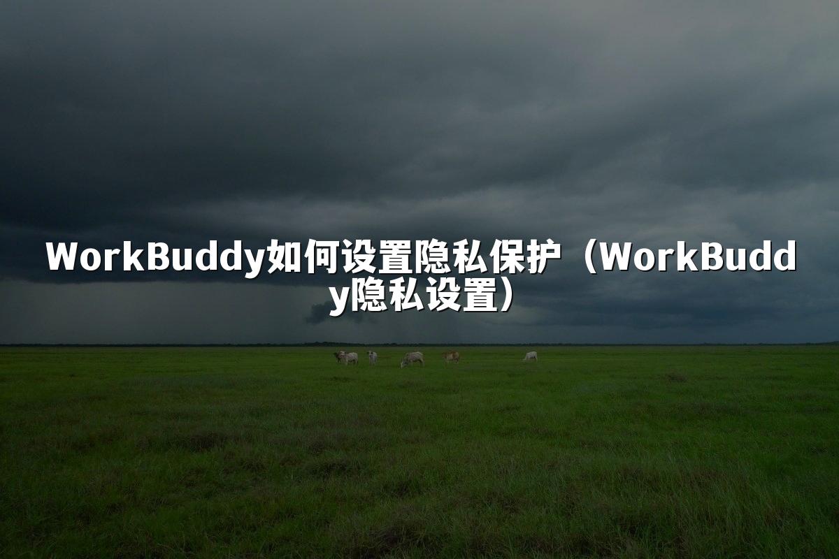 WorkBuddy如何设置隐私保护(WorkBuddy隐私设置)
