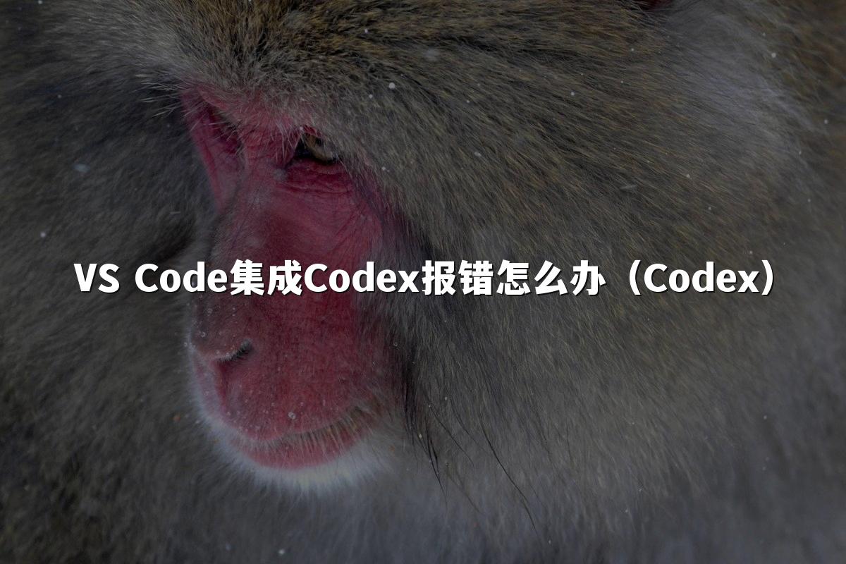 VS Code集成Codex报错怎么办(Codex)