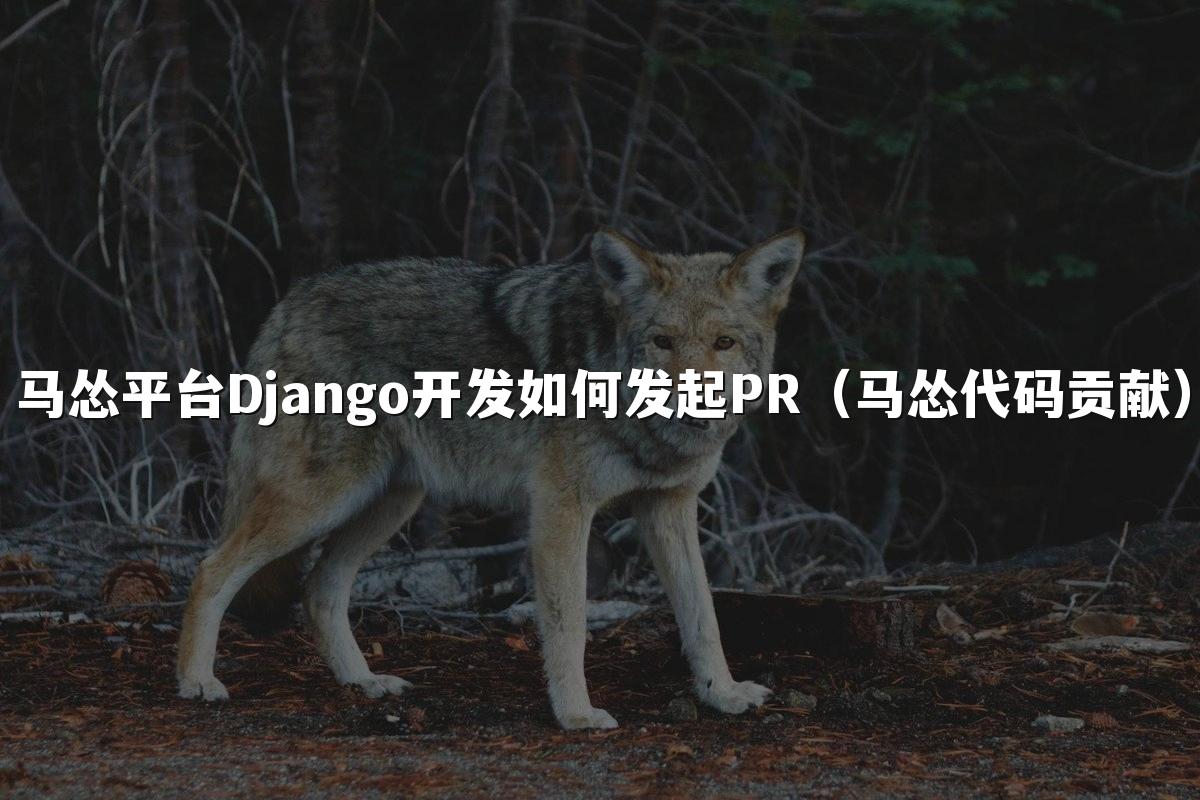 马怂平台Django开发如何发起PR(马怂代码贡献)