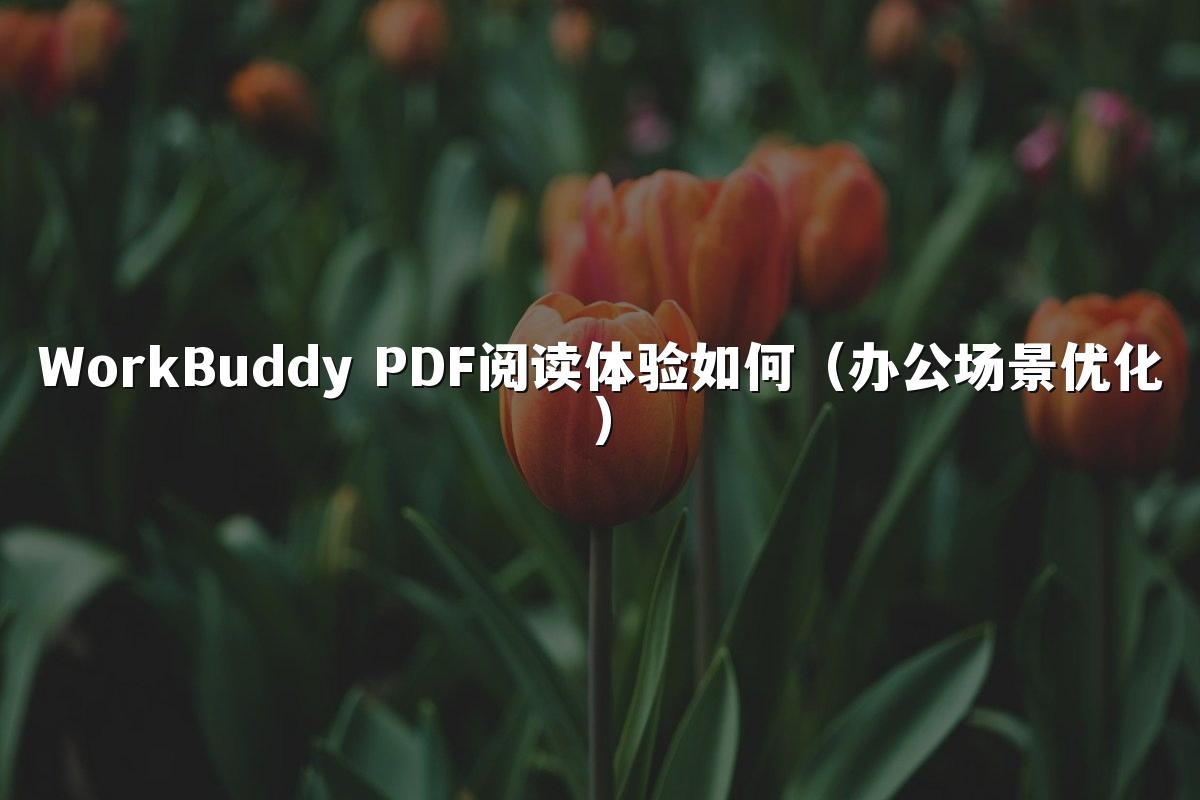 WorkBuddy PDF阅读体验如何（办公场景优化）