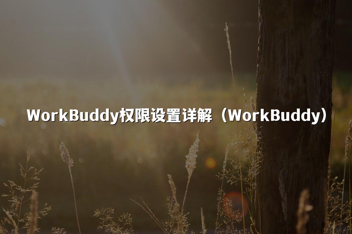 WorkBuddy权限设置详解(WorkBuddy)