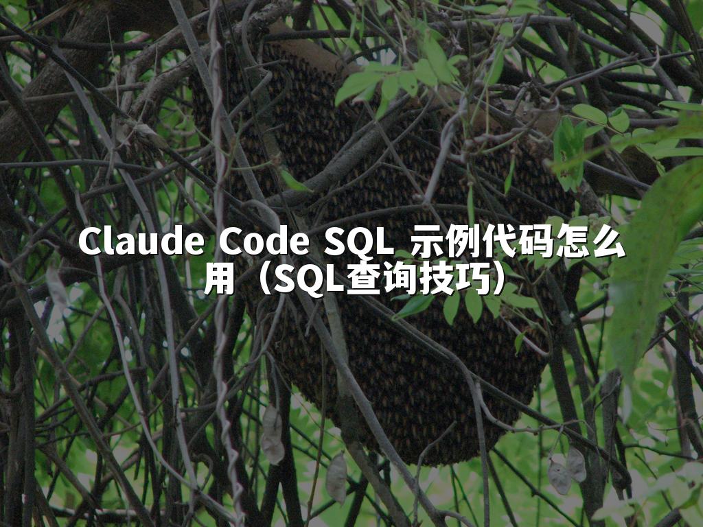 Claude Code SQL 示例代码怎么用（SQL查询技巧）