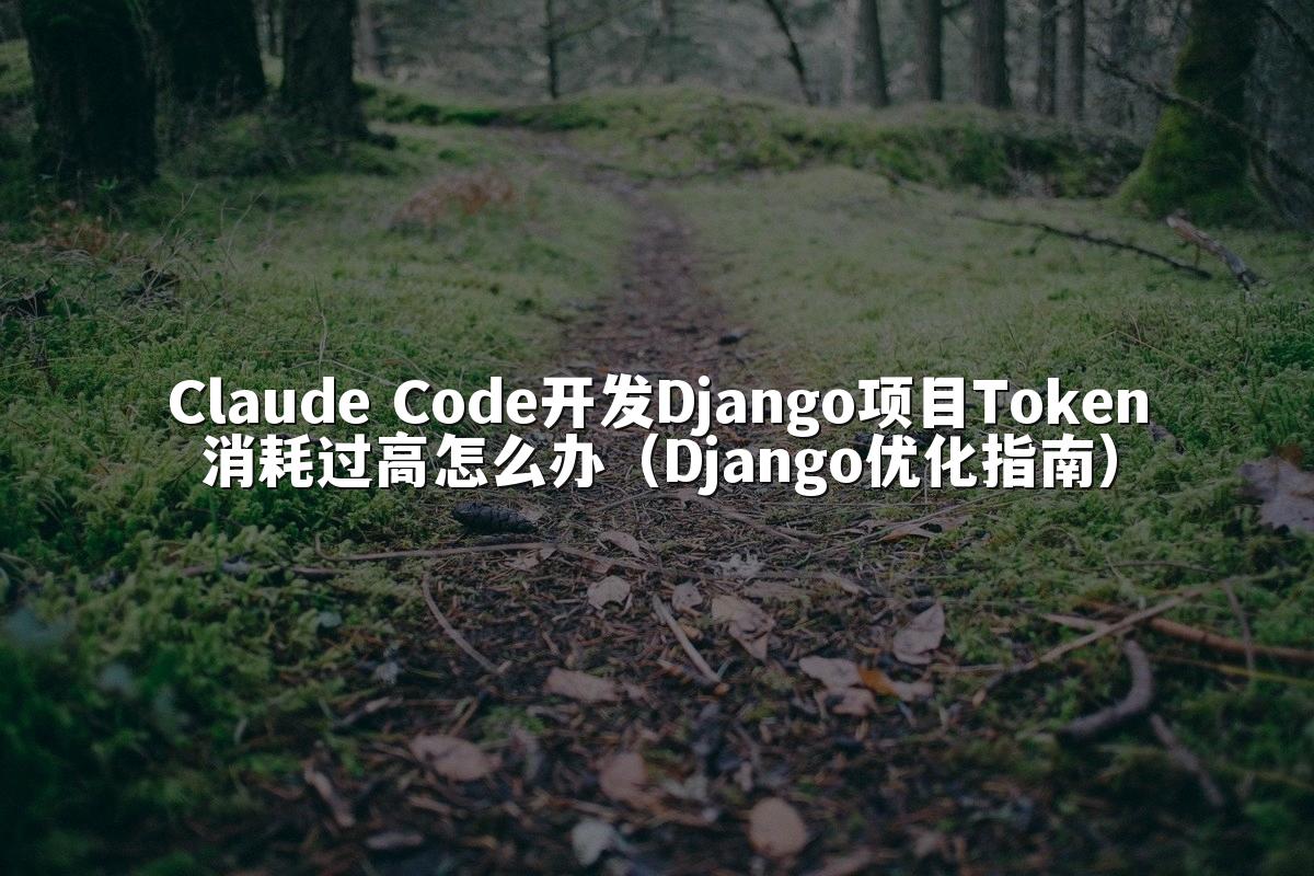 Claude Code开发Django项目Token消耗过高怎么办(Django优化指南)