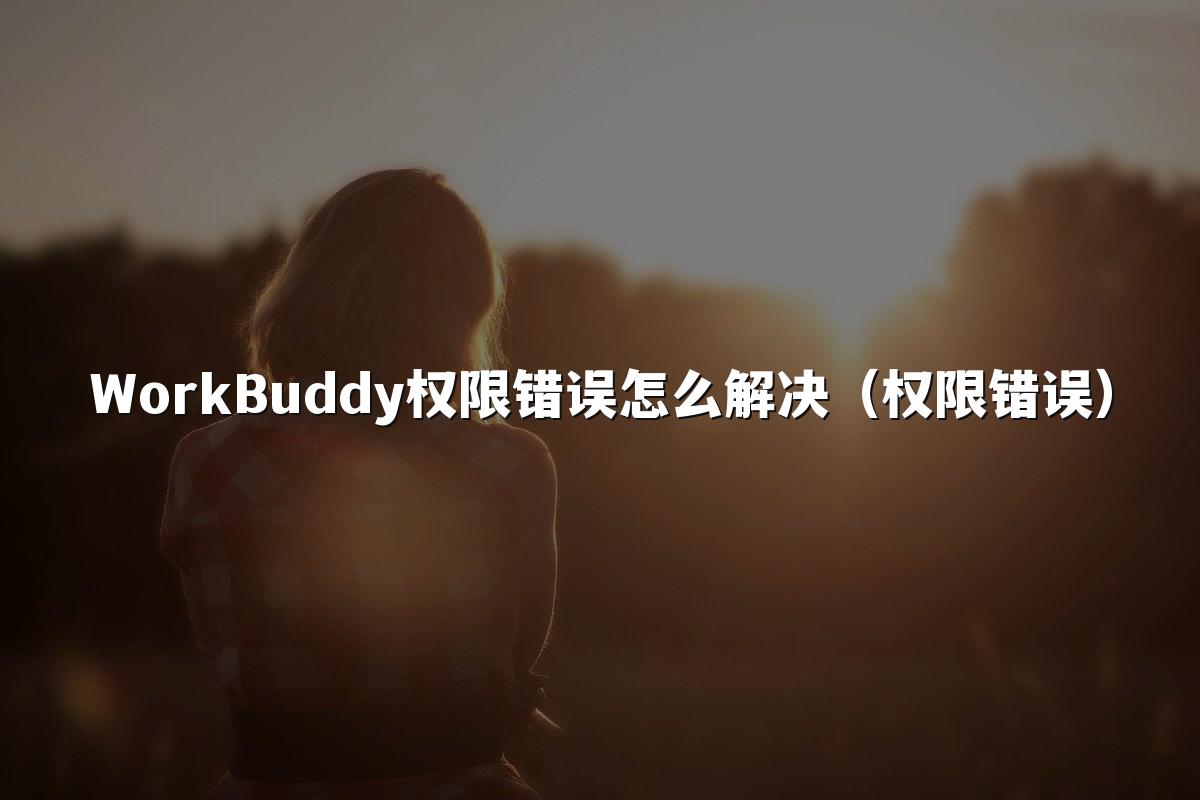 WorkBuddy权限错误怎么解决(权限错误)