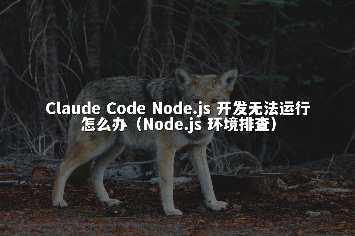 Claude Code Node.js 开发无法运行怎么办(Node.js 环境排查)