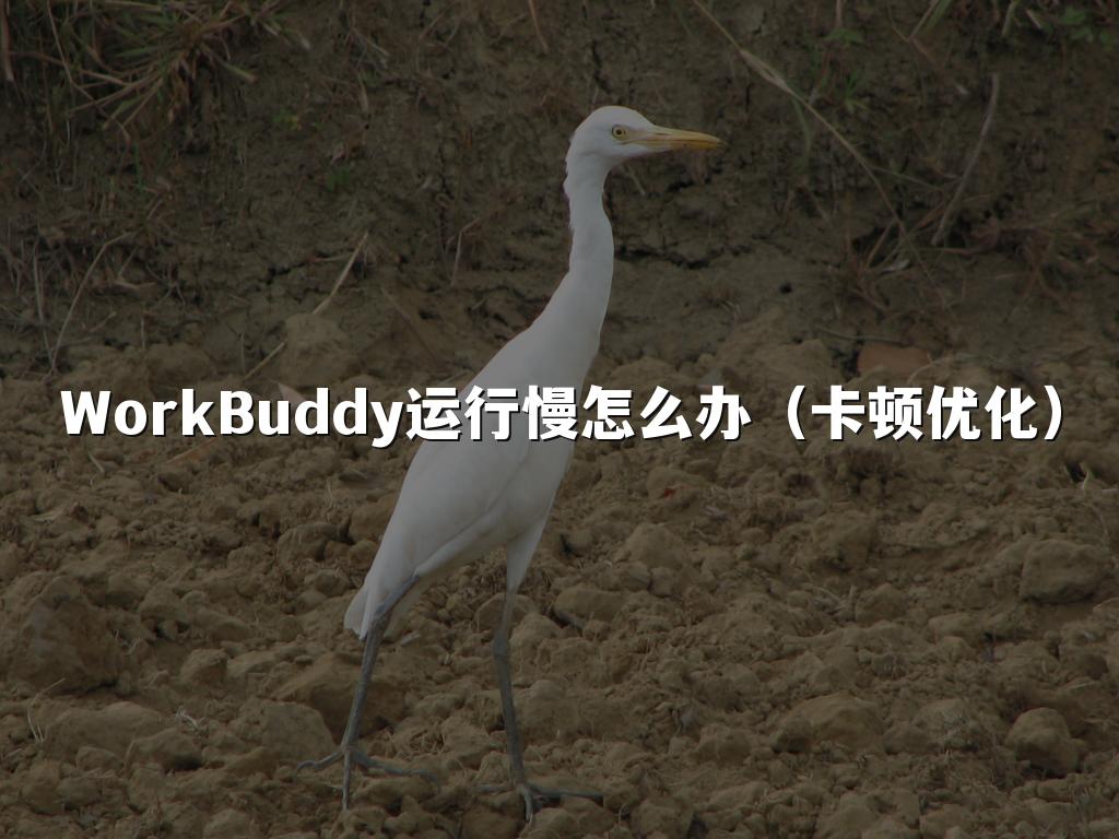 WorkBuddy运行慢怎么办（卡顿优化）